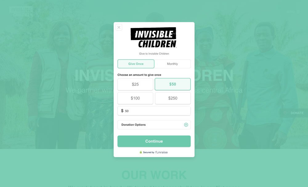 Non-Profit Simple Donation Page Example