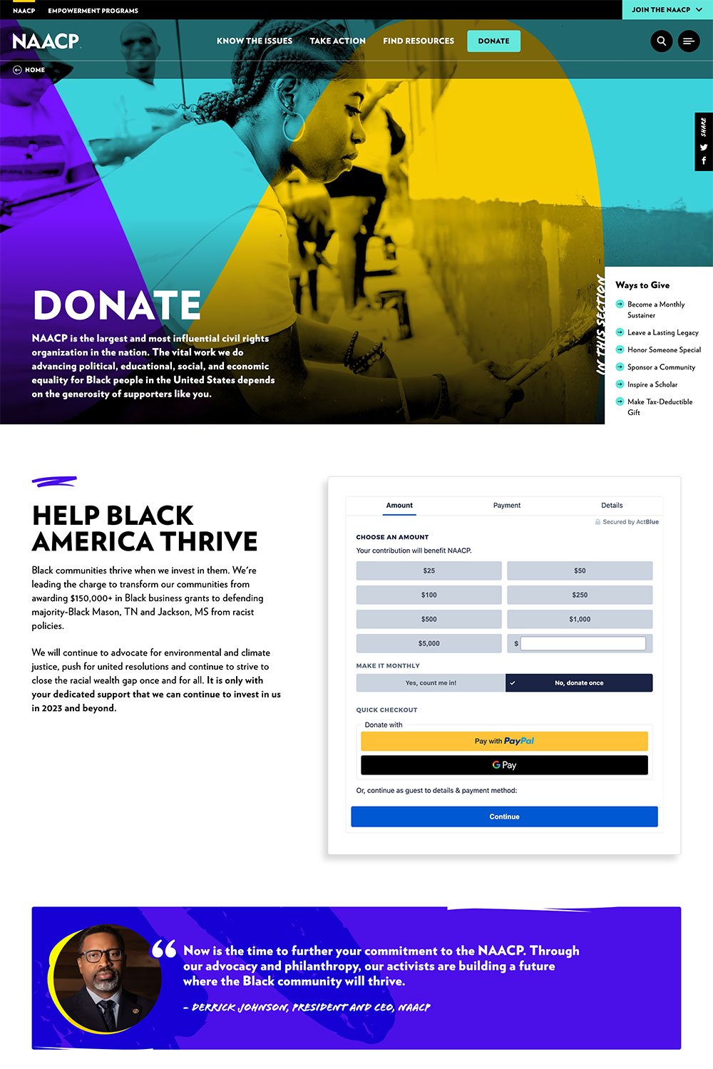 Best Donation Page Examples
