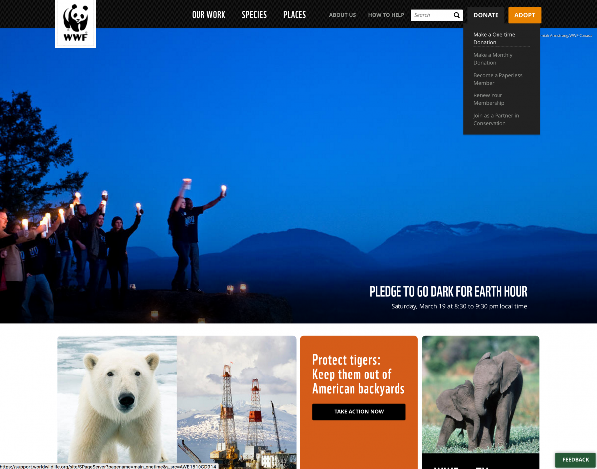 WWF Best Not For Profit Online Donation Experience Example