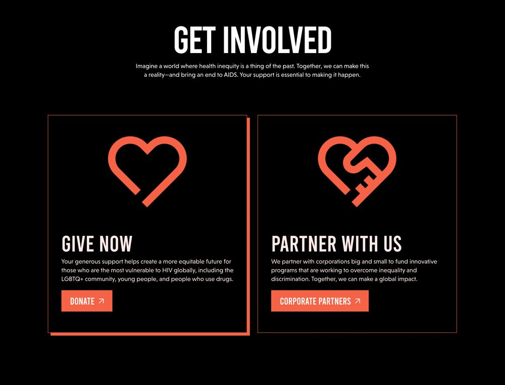 Non-Profit Homepage Call to Action Example