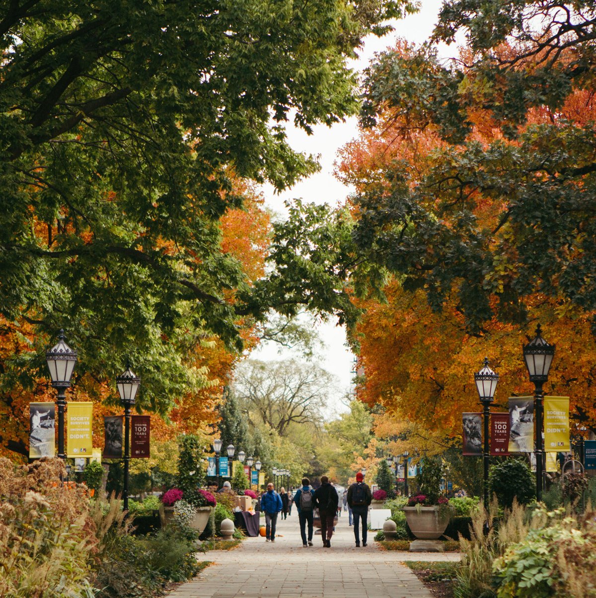 Chicago University Photography Company